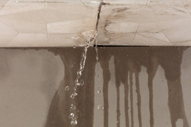 Professional Burst Pipe Cleanup technician working in Springfield, VA
